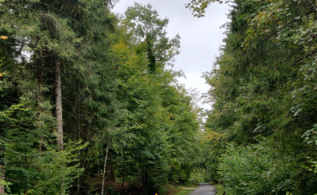 Day 1 of my 1 Month&nbsp;Hike